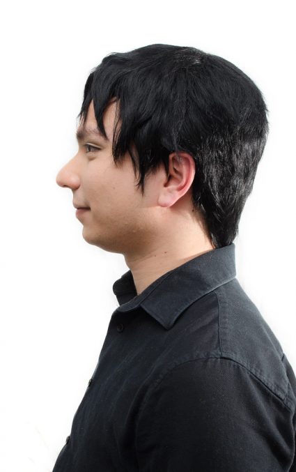 Tadashi Hamada cosplay wig side view