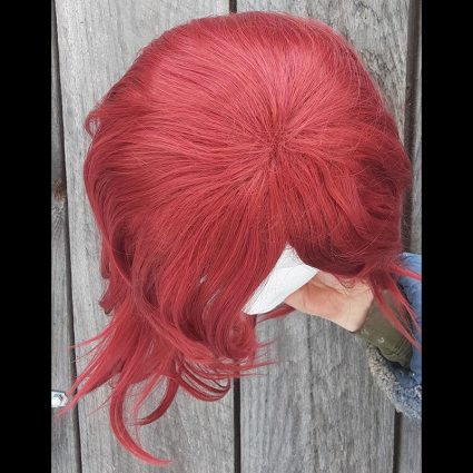 Fire Spinning cosplay wig top view