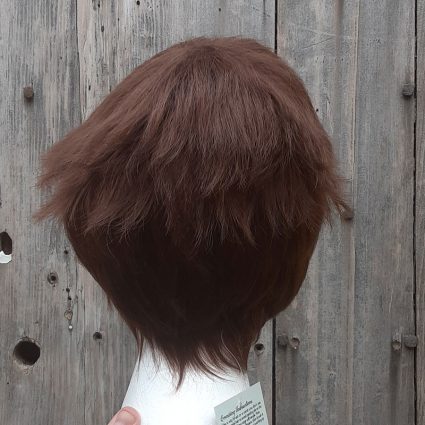 Lance cosplay wig back view