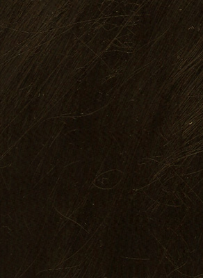 Dark brown color swatch