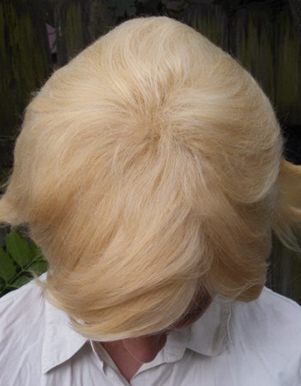 Dirk wig top view