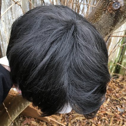 Otabek wig top view