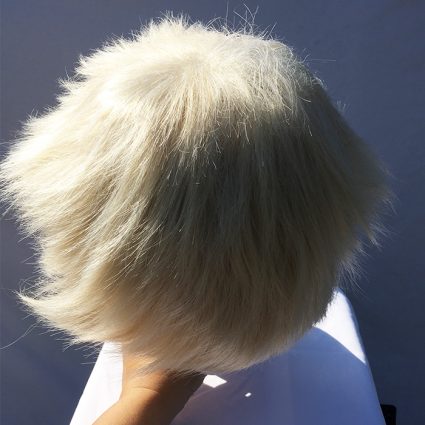 Bakugo wig top view