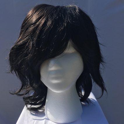 Aizawa cosplay wig