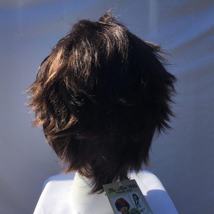 Terra cosplay wig back view