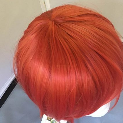 Chise cosplay wig top view