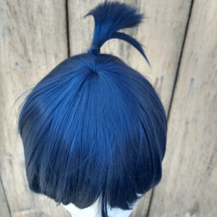 Aki cosplay wig top view