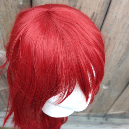 Himeko cosplay wig top view