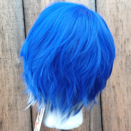 Sampo cosplay wig back view