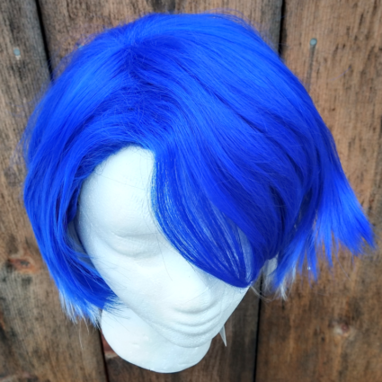 Sampo cosplay wig top view